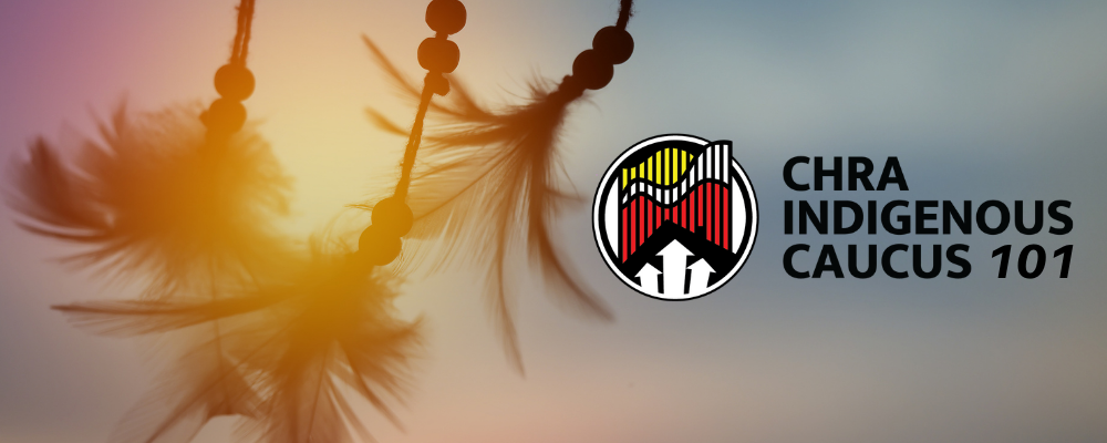 Indigenous Caucus 101_blog header